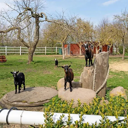 Gaestehaus Am Hengstkamp Moin Moin Großenbrode